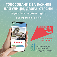 Голосование за важное для улицы, двора, страны.